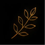 Gold leaf design on black background.